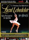 Detalii despre Lacul Lebedelor pe gheata
