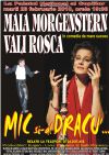 Detalii despre Mic si-al Dracu'... 23 feb