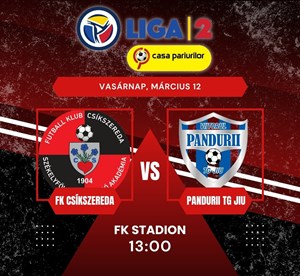 bilete la FK Csikszereda Miercurea Ciuc - ACS Viitorul Pandurii Targu Jiu - Liga 2 - Etapa XIX