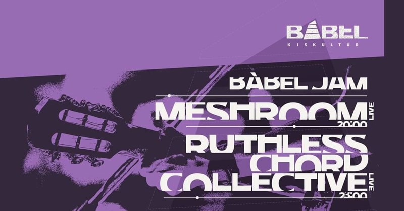 bilete Babel Jam Double: Concert Meshroom and Ruthless Chord Collective