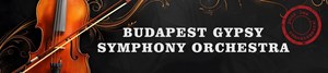 Budapest Gypsy Symphony Orchestra - 100 Gypsy Violins